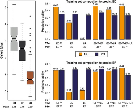 Evaluation of composite training sets. For the 3 major groups, ED, EF, and landraces, different training set compositions were tested for grain yield for genomic (GS) and phenomic (PS) prediction. The boxplot on the left shows the differing level of phenotypic performance for the 3 groups. The bar plots on the right depict the predictive ability of the different scenarios for either the ED (top) or the EF (bottom). The superscript numbers 80 and 20 reflect the proportion of individuals in the training set (TSet) and the prediction set (PSet). Predictions within the respective elite groups were obtained with 1,000 5-fold cross-validation runs; for the composite training sets, 100 cross-validation runs were used.