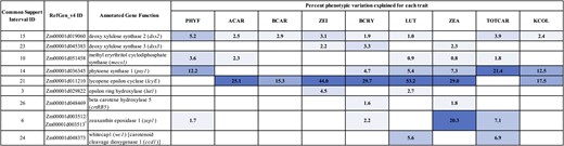 Percent phenotypic variation explained for each carotenoid and kernel color trait by JL-QTL resolved to each of the nine identified genes. PVEs are color coded by the significance of the PVE, with a darker blue corresponding to a higher PVE. Trait abbreviations: phytofluene (PHYF), α-carotene (ACAR), β-carotene (BCAR), zeinoxanthin (ZEI), β-cryptoxanthin (BCRY), lutein (LUT), zeaxanthin (ZEA), total carotenoids (TOTCAR), kernel color (KCOL).