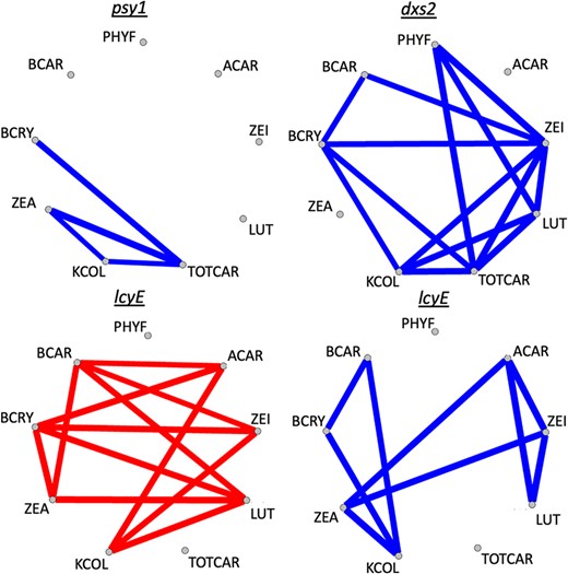 Significant pleiotropy (α = 0.05) observed for JL-QTL resolved to individual genes, between kernel color and one or more carotenoid traits in this study. Blue lines indicate positive pleiotropy, whereas red lines indicate negative pleiotropy. Trait abbreviations: phytofluene (PHYF), α-carotene (ACAR), lutein (LUT), zeinoxanthin (ZEI), total carotenoids (TOTCAR), β-carotene (BCAR), kernel color (KCOL), β-cryptoxanthin (BCRY), zeaxanthin (ZEA).