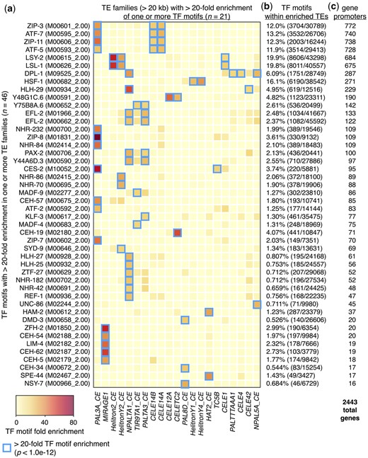 TEs enriched for TF-binding motifs reside within gene promoters. a) Heatmap depicting the fold enrichments of 46 TF-binding motifs (representing 45 different TF proteins) that are greater than 20-fold enriched in at least 1 type of TE that covers at least 20 kb of genomic space. Blue boxes indicate TE types that are greater than 20-fold enriched for an individual TF-binding motif (P < 1.0e−12, binomial test). Cis-BP database (Weirauch et al. 2014) identifiers for each TF-binding motif are shown in parentheses. Fold enrichment is defined as the proportion of each TF motif found in each TE type divided by the proportion of genomic space covered by each TE type. Heatmap columns are clustered by similarity, and rows are sorted by the numbers of genes identified in panel c. b) Percentage of indicated TF motifs that reside within repeats displaying greater than 20-fold enrichment from panel a (blue boxes), calculated as the total number of a given motif found within the TEs compared to the total number in the entire genome. c) Numbers of protein-coding genes that have TE-enriched TF-binding motifs from panel a (blue boxes) within their promoter regions. The total number of genes with TE-enriched motifs in their promoters is 2,443.