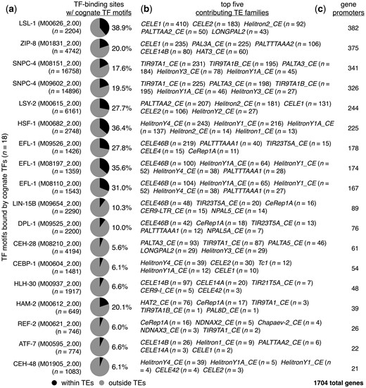 TF motifs within TEs are bound by their cognate TFs. a) Pie charts displaying the proportions of TF-binding sites with the indicated cognate TF-binding motifs that reside within (black) or outside of (gray) annotated TEs. TF-binding sites were identified using previously published ChIP-seq data (Li et al. 2016; Kudron et al. 2018). TF-binding motif identifiers from the Cis-BP database (Weirauch et al. 2014) are shown in parentheses. Only TF motifs with greater than 5% of TF-bound motifs within TEs are displayed. b) List of the top 5 TEs that have the greatest numbers of each indicated TF motif bound by their respective TFs. c) Number of protein-coding genes that have TEs containing TF-bound motifs from panel (a) residing within their promoter regions. The total number of genes with TE-provided TF-bound motifs in their promoters is 1,704.