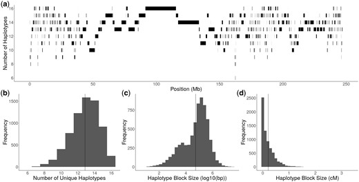 Diversity and size of haplotype blocks. a) The number of unique haplotypes per haplotype block and size of haplotype blocks along chromosome 4 in physical distance. b) Distribution of unique haplotypes per haplotype block across the genome. c) Distribution of haplotype block size in physical distance, represented as log10(bp). The vertical solid line represents the average size of 303.7 kb. d) Distribution of haplotype block size in genetic distance, represented as cM. The vertical solid line represents the average size of 0.2 cM.