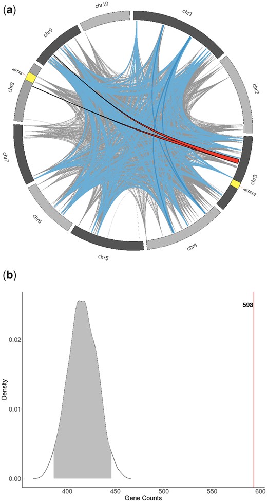 Interchromosomal linkage disequilibrium and flowering time genes in the MAGIC population. a) Ribbons represent regions of R2 > 0.9 between consecutive SNPs on different chromosomes. The 2 red bands outlined in black are regions >5 Mb on at least 1 of the chromosomes. Blue bands are regions between 1 and 5 Mb one both chromosomes. Gray lines are regions between 100 kb and 1 Mb. The yellow regions represent the support intervals for the flowering time QTL, qDTA3-2 and qDTA8. b) The null distribution of the number of genes overlapping with regions of high interchromosomal LD (R2 > 0.9) from 887 randomly selected genes from 1,000 permutations. Observed number of flowering time genes overlapping with regions of high interchromosomal LD are shown in red (n = 593).