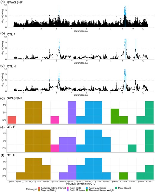 Results of 3 methods of QTL identification. a–c) Manhattan plots for DTA BLUPs. Colored points represent significant QTL above the 5% significance threshold from 1,000 random permutations, located between log10(P-value) = 5 and log10(P-value) = 6 (dashed line). a) GWAS results using the GWASSNP method. b) Results from QTL mapping using the QTLF method. c) Results from QTL mapping using the QTLH method. d–f) Identification of individual QTL with varying permutation significance thresholds of 1%, 5%, and 10% across the 3 methods. Different colors indicate the phenotype of the QTL and lighter colors indicate that a QTL was significant at that threshold for a particular method for GWASSNP d), QTLF e), and QTLH f).