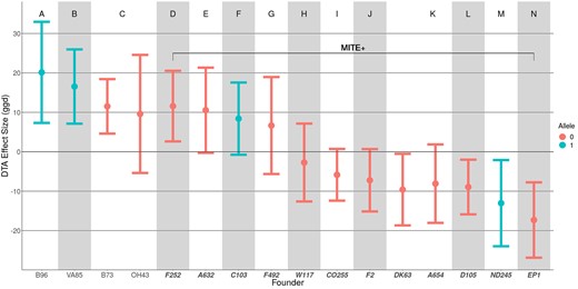Estimated founder effect sizes for vgt1. Estimates of founder effect sizes relative to the population mean for DTA BLUP phenotypes using QTLF. Letters A–N and groupings of shaded blocks along the x-axis indicate founders that have shared haplotypes at the most significant QTLF SNP. Color indicates reference (0) and alternate (1) alleles at the most significant QTLF SNP. Positive effect sizes indicate later flowering and negative effect sizes indicate earlier flowering. Founders on the right (D–N) within the bracket are lines that possess the MITE insertion (MITE+), while founders on the left (A–C) lack the MITE insertion (MITE–).