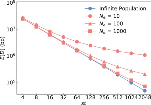 Mathematical predictions for the infinite and finite population models. Blue dots show the prediction by the infinite population model according to Equation (1); red dots show the prediction by the finite population model according to Equation (6) for three different values of Ne. Recombination rate was set to r=1e−8 per bp. To vary st in these equations, we fixed t = 2 and then varied s from 2 to 1,024. The infinite and finite population models converge as st becomes much larger than 2Ne, as predicted by our theory.
