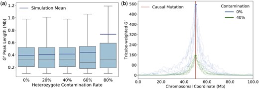 The impact of heterozygote contamination on BSA experiments. a) Box plots show the distributions of G′ peak lengths as a function of the heterozygote contamination rate in the segregant pools, estimated from 1,000 simulation runs for each rate. We assumed equal percentages of heterozygotes in both pools, with no contamination by homozygotes of the alternative allele. Mean G′ peak lengths are surprisingly robust to contamination levels as high as 60%. Note that simulation means are systematically higher than medians, especially for the highest tested contamination level of 80%, indicating that mean values are likely driven by long tails of the distributions. As in Fig. 7b, the lower whiskers always extend to the maximally achievable resolution of approximately 100 kb given our smoothing procedure and distance between marker SNPs. b) The curves show tricube weighted G′ values for 10 simulation runs each for a scenario without heterozygote contamination and a scenario with a heterozygote contamination rate of 40%. Bold segments of the curves specify the identified peaks. Contamination lowers the average height of the G′ peaks but their average length is much less affected. For the 0% scenario, peak lengths ranged from 0.10 to 0.83 Mb in our simulations, as compared to 0.12–1.02 Mb for the 40% scenario.