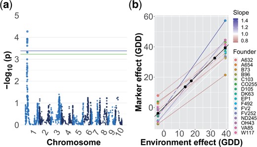 a) Manhattan plot for plasticity (model ii) GWAS on ASI. The blue and green lines represent the 5% and 10% significance levels based on permutation tests, respectively. b) Estimated effect of founder ancestry on plasticity for the most significant marker. The slope of a line indicates the plasticity of that haplotype and the difference in slopes is G×E. The color of the line corresponds to the slope; a slope greater (or less) than one indicates a genotype more (or less) responsive to the environment than average.