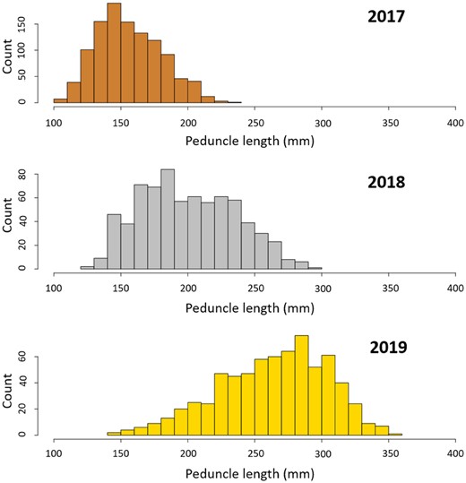 Distribution of the PL measurements in November 2017 (n = 1,094), October 2018 (n = 719), and November 2019 (n = 694).