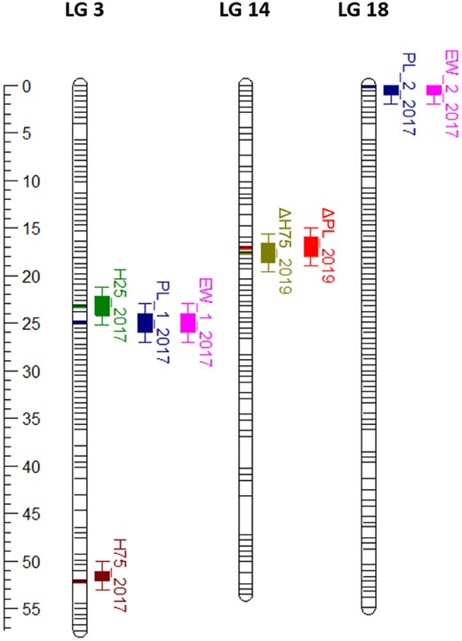 Eight significant QTL associated with growth traits were found in trevally, across 3 LGs (LG3, LG14, and LG18). In November 2017, 2 QTLs were found associated with peduncle length (PL_1_2017 and PL_2_2017, on LG3 and LG18, respectively), which were also associated with EW (EW_1_2017 and EW_2_2017). In the same year, 2 more QTLs were found associated with height at 25% (H75_2017) and 75% (H75_2017) of the peduncle length, both on LG3. Finally, 2 QTLs were found in November 2019, 1 for net gain in peduncle length (PL_2019) and one for net gain in height at 75% of the peduncle length (H75_2019), both on LG14.