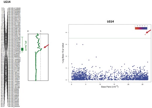 Comparison of QTL (left) and SNP associated (right) with the net gain in PL (ΔPL) in November 2019.