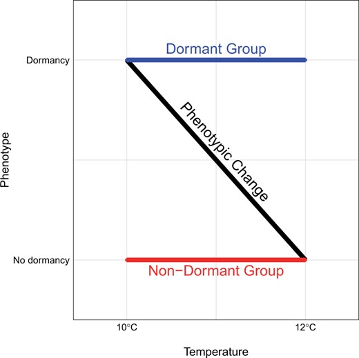 Experimental design for the dormancy Pool-GWAS. Isofemale strains that are nondormant at 10°C (thus nondormant at both temperatures since dormancy incidence decreases from 10 to 12°C) are referred to as the “Non-Dormant Group.” Isofemale strains that are dormant at 12°C (thus dormant at both temperatures since dormancy incidence increases from 12 to 10°C) constitute the “Dormant Group.” The black diagonal line represents the expected change in dormancy incidence between the 2 temperature regimes.