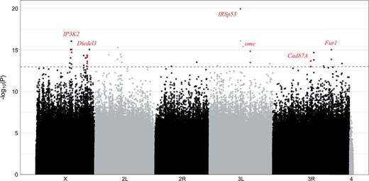 Manhattan plot of the adjusted chi-squared test P-values from the Pool-GWAS for dormancy. The dashed line indicates the significance threshold of 10−13. Genes that are discussed in the main text are highlighted in red.