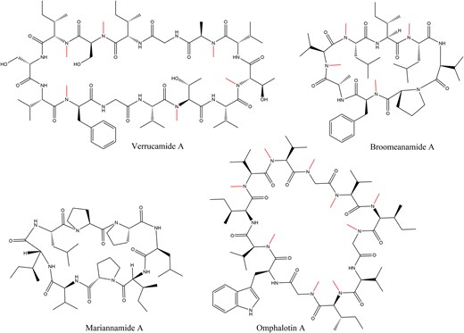Structures of the cyclic fungal peptides verrucamide A (Zou et al. 2011), broomeanamide A (Ekanayake et al. 2021), mariannamide A (Ishiuchi et al. 2020), and omphalotin A (Van Der Velden et al. 2017), the founding member of the borosin class of RiPPs. Backbone N-methylations are indicated in red.