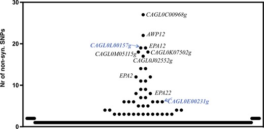 Number of nonsynonymous single-nucleotide polymorphisms (SNPs) found upon comparison of gene sequences encoded by the azole-resistant strain ISTB218 and the azole-susceptible strains CBS138 and ISTA29. The names of adhesin-encoding genes are depicted in the figure to denote the high number of SNPs found in these sequences encoded by the azole-resistant strain ISTB218. Those adhesins that are described to provide protection against azoles in C. glabrata are highlighted in blue.