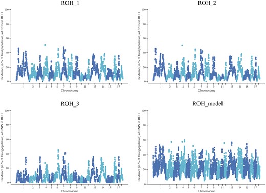 Incidence plots of SNPs in an ROH on chromosomes. The ROH_1 was based on Meyermans’s recommendation. More strict parameters about the length of an ROH (>5 Mb) for ROH_2 and a minimum density of 1 SNP per ROH (<70/kb) for ROH_3 were set. ROH_model used the model-based software RZooRoH.