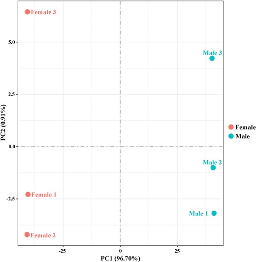 Principal component analysis of the 6 transcriptome samples. Samples are female and male.