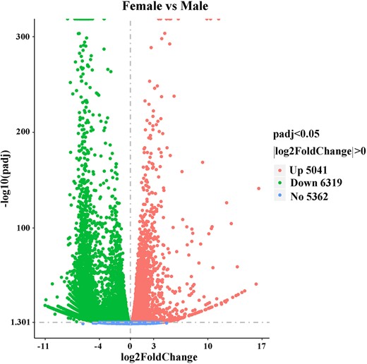 Volcano plot showing DEGs (|log2(FoldChange)| > 0 and Padj < 0.05) in female and male adult transcriptomes.