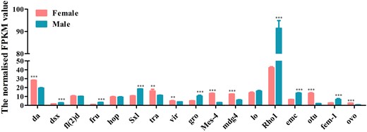 Expression profiles of sex determination transcripts identified in D. suzukii female and male transcriptomes. Expression in each sample is reported as the normalized FPKM value. Error bars indicate the SEM of 3 independent biological replicates and asterisks (** and ***) indicate the statistically significant differences (P < 0.01 and P < 0.001) between female and male adults based on Student’s t-test. Sex determination transcripts with greater than 2 FPKM value are shown.