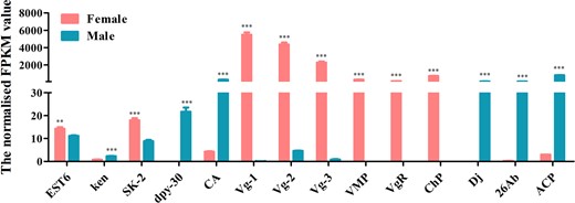 Expression profiles of sex-related reproduction transcripts identified in D. suzukii female and male transcriptomes. Expression in each sample is reported as the normalized FPKM value. Error bars indicate the SEM of 3 independent biological replicates and asterisks (** and ***) indicate the statistically significant differences (P < 0.01 and P < 0.001) between female and male adults based on Student’s t-test. Sex-related reproduction transcripts with greater than 2 FPKM value are shown.