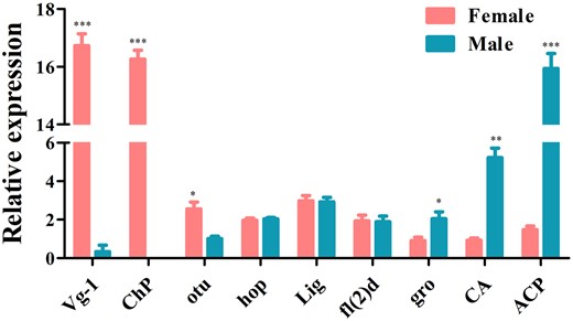 Expression pattern analysis by qRT-PCR in female and male adults. Error bars indicate the SEM of 3 independent biological replicates and asterisks (*, **, and ***) indicate the statistically significant differences (P < 0.05, P < 0.01, and P < 0.001) between female and male adults based on Student’s t-test.