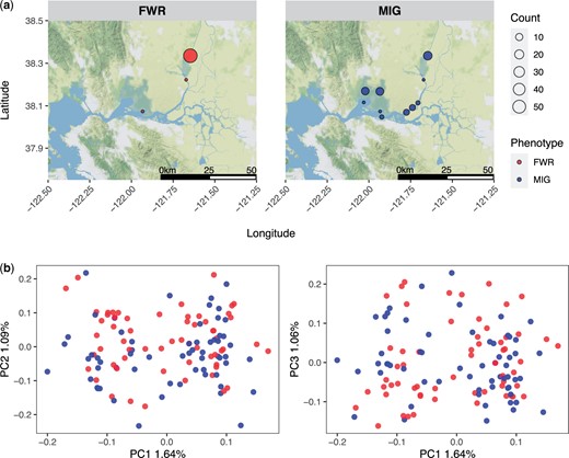 a) The geographic distribution of Delta Smelt samples examined in this study, facets are split between FWR and MIG individuals. b) A PC analysis of individuals examined in this study. The facets are split between a plot of PC1 vs PC2 and PC1 vs PC3.