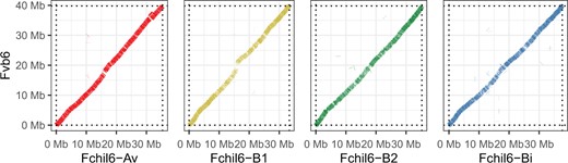 Dotplot of a minimap2 alignment between F. chiloensis group 6 homeologous chromosomes (Fchil6-Av, Fchil6-B1, Fchil6-B2, and Fchil6-Bi) and F. vesca Fvb6.