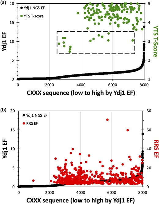 Relative performance of previously identified farnesylated CXXX sequences. Sequences previously identified in a a) Ydj1-based genetic selection or a b) Ras-based competitive growth assay were superimposed on the Ydj1 EF profile. Each sequence is represented as a point with an associated score where the second Y-axis refers to the scoring range used in these previous studies (YTS T-score, Ydj1-based Temperature Screen Thermotolerance Score; RRS EF, Ras Recruitment System enrichment factor). The limited number of canonical sequences that were identified by YTS is identified by a dashed box (n = 15).