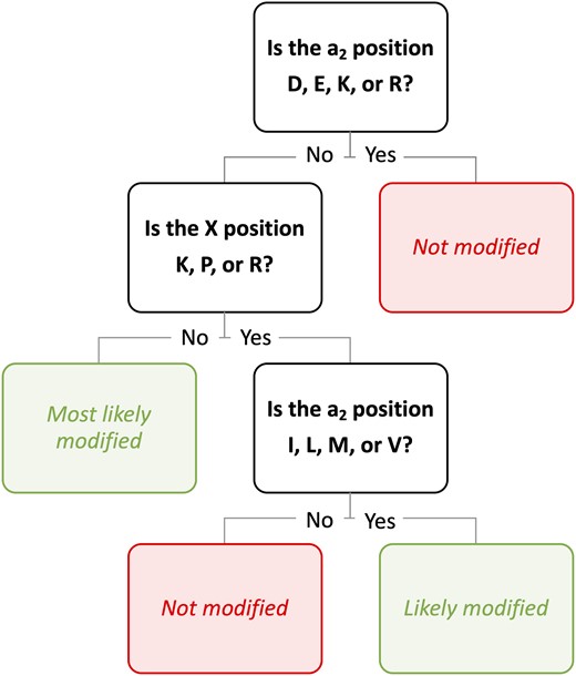 A simplified decision tree for predicting yeast FTase substrates. The output of Ydj1 EF scores was fit into a decision tree model considering each of the variable CaaX motif sites: a1, a2, and X. Our results strongly suggest that a major determinant of FTase activity depends on a select few discriminatory amino acids at a2 (D, E, K, and R) and X (K, P, and R) positions, with the potential for certain allowable amino acids at a2 (I, L, M, and V) that can mitigate discrimination caused at the X position. For the full decision tree, see Supplementary Fig. 5.