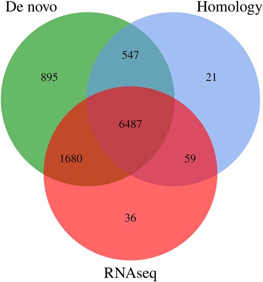 The integrated genes were derived from the statistical plots of 3 predictive methods.