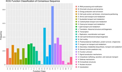 The KOG function classification of proteins.