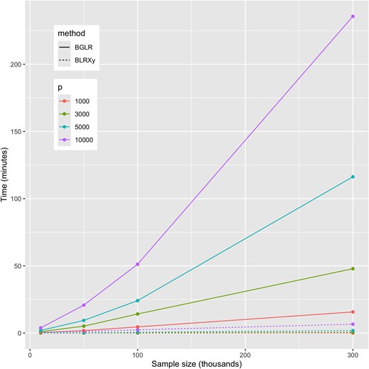 Computing time required to simulate 3,000 posterior samples using the BLRXy and BGLR functions when using one thread (see Supplementary Fig. S1 relative times). BLRXy derives SS and then generates posterior samples using SS as data. BGLR simulates posterior samples using individual genotype–phenotype data as inputs.