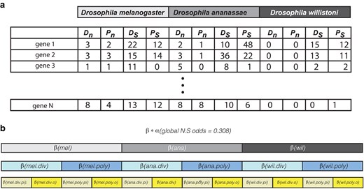 Data structure and model testing approach. a) Structure of data. For each gene (piRNA and other), counts of nonsynonymous divergence (Dn), nonsynonymous polymorphism (Pn), synonymous divergence (Ds) and synonymous polymorphism (Ps) were determined. b) Structure of nested model testing. A baseline N:S odds (α) from the entire data set was established and nested modifiers (β) were evaluated using the binomial. div, divergence; poly, polymorphism; pi, piRNA genes; o, other genes.