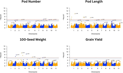 Manhattan plots of GWAS for pod number, pod length, 100-seed weight, and grain yield. Negative log10(p) values are plotted against physical position on each of the 11 chromosomes. The dashed line at the higher significance threshold indicates the Bonferroni correction for genome-wide significance threshold (5.92).