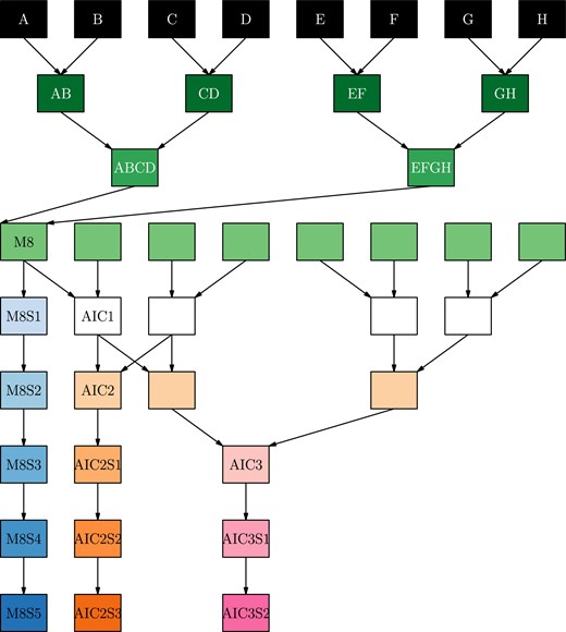 Schematic of the different branches of the three sub-populations. Color represents the phase of mixing/selfing; S* indicates generation of selfing. M8 lines undergo only mixing of the parents and inbreeding; AIC2 and AIC3 lines undergo two and three additional generations of intercrossing prior to inbreeding, respectively. This schematic represents a single funnel for each sub-population type, the progeny of which are subsequently referred to as MP8RIL, AIC2RIL, or AIC3RIL, see details in Methods.