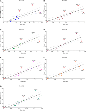 Correlation between the number of T-DNA integrations and chromosomal features. The features investigated for each chromosome were (A) chromosome size; (B) total size of the GC isochores; (C) total size of the transcriptional regions [defined as the sum of regulatory sequences (promoter + terminator) and gene-coding sequences (exons + introns)]; (D) total size of the regulatory regions (defined as the sum of promoter and terminator sequences); (E) total size of gene-coding regions (defined as the sum of exonic and intronic sequences); (F) total size of the exonic sequences; and (G) total size of the intronic sequences. Regression curves and the 95% confidence intervals are plotted in continuous and discontinuous lines, respectively.