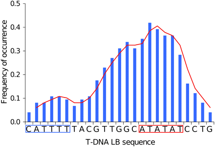 Analysis of microhomology at T-DNA preinsertion sites. Frequency of occurrence of single bases identical to those of the 25-bp T-DNA left border in the genome preinsertion sites were analyzed. The T-DNA LB sequence is illustrated, and homologs of the TATA box and Inr in the LB sequence are boxed.