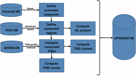 The build process for oPOSSUM 3 gene-based analysis. The system incorporates data from the gene annotation data from Ensembl, TFBS profiles from JASPAR, and multi-species conservation information based on phastCons scores from UCSC Genome Browser. The oPOSSUM database incorporates the data from these sources to pre-compute TFBS profile hits for gene-based analysis.
