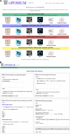 Web interface. (A) oPOSSUM home page listing the various analyses and organisms available. (B) Four steps for initiating a Single Site Analysis (SSA) with user-chosen parameters.