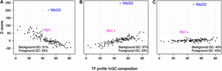 Relationship between TF profile GC content and enrichment statistics. The percentage of G and C nucleotides in the TF profile models are plotted against the motif enrichment Z-scores. The three panels represent analysis results for the same 1256 Nfe2L2 ChIP-Seq regions (GC composition avg. 43%) compared with three background sets of different GC composition: (A) elevated background GC (avg. 51% GC); (B) low background GC (avg. 37% GC); and (C) background with GC composition matched to the distribution of the ChIP-Seq regions (avg. 43% GC). The GC composition of the background used in B is that of the control associated with the Nfe2L2 ChIP-Seq data. The plotted Z-scores represent the enrichment of TFs in 1256 ChIP-Seq Nfe2L2-bound regions. The Nfe2L2 profile can be distinguished in all three cases (A, B, and C). However, detection of the Ap1 profile, representing a TF with a known Nfe2L2-related biological function, is sensitive to background selection. Most TFs that would be ranked highly by Z-score when the background is not corrected for GC composition (seen in A and B) are not ranked highly when the background is matched to the foreground distribution of GC composition (C).