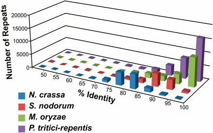 Repeat identity in the genome sequence of Pyrenophora tritici-repentis. The graph represents a comparison of repeat similarities between Neurospora crassa, Stagonospora nodorum, Magnaporthe oryzae, and Pyrenophora tritici-repentis. An identity was assigned to each repetitive sequence based on its similarity to other repeats in the genome (naturally grouped into one repeat family). The number shown on the y-axis is a collection of all repeats identified in the genome sequences (minimal 400 bp, 50% identity) and binned into groups according to the sequence identity present in that repeat family.