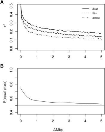 (A) LD (calculated as r2) as a function of physical distance (Δ) in Mbp between markers on the same chromosome for the group of dent lines (full line), flint lines (dashed line), and across both heterotic groups (dotted-dashed line). (B) Proportion of markers with equal linkage phase across heterotic groups as a function of Δ in Mbp between markers on the same chromosome. The horizontal gray line indicates the value 0.5. LD calculations within heterotic groups included all markers with MAF > 0.05 within this group; LD calculation across groups included all markers with MAF > 0.05 within both heterotic groups.