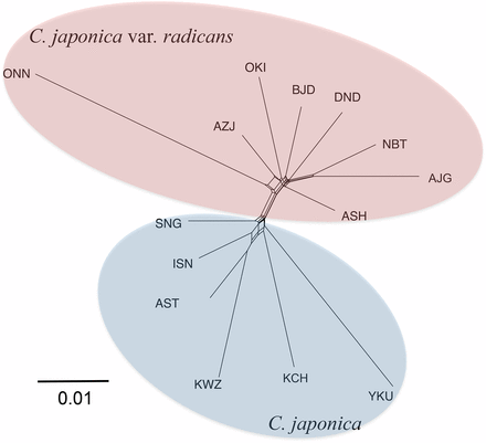A population network based on pair-wise FST values between populations constructed by the Neighbor-net.