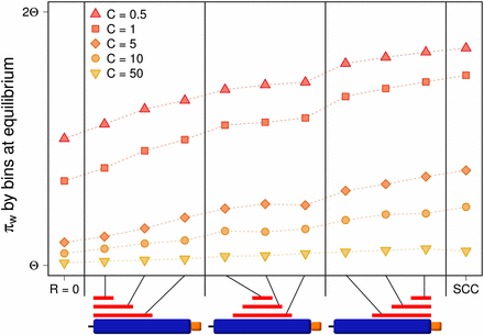 Variation within a duplicate block under different crossover conditions. The plot shows variation within duplicates under the HSC model. Each point corresponds to the average equilibrium value over 1000 simulation runs. Columns indicate different hotspot locations on the original block (illustrated by the red lines in the diagram). Expected values (πwC) for R = 0 and for the SCC model (R = 10) are shown to the left and to the right of the plot respectively. Regardless of the width and localization of the hotspot, variation within duplicates is decreased in comparison with the SCC model but increased with respect to R = 0. Hotspots located the furthest away from the duplicated block (to the left) have the strongest effect in lowering the amount of variation, while those localized closest to the duplicated block still lower the variation but to a lesser degree (to the right). Hotspots centered in the original block have an intermediate effect.