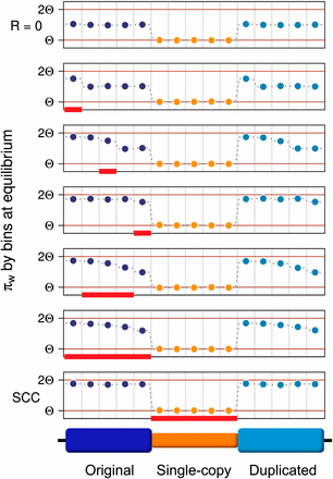 Distribution of variation along the sequence under different crossover conditions. Comparison between variation along the sequence when R = 0 (top row) and when crossover occurs (R = 10) on different conditions. Red rectangles indicate the regions undergoing crossover. In the bottom, variation along the sequence on SCC model is shown. Plots in the middle show different HSC model cases (different locations and lengths of the crossover hotspot region). Circles correspond to average pairwise differences calculated by bins within the original, single-copy and duplicated blocks, respectively. Each block is divided into five bins. Bins to the left of the hotspot have an amount of variation similar to that found under the SCC model whereas those to the right have a variation level equivalent to that of a model with no crossover (R = 0). Bins within the hotspot have intermediate levels of variation, which are lower for bins that are closer to the single-copy region. Additionally, original and duplicated blocks have identical (non-symmetrical) patterns of variation within them. This figure is for C = 0.5. Equivalent results are attained for greater values of C.