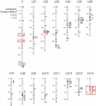 Linkage map including ddRAD markers (unmarked bars), previously characterized loci (squares), and microsatellite markers (stars). Markers highlighted in red showed reduced introgression across the hybrid zone (Larson et al. 2014).