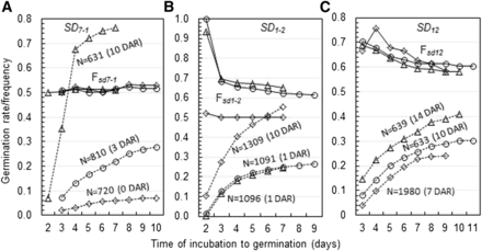 Germination and allelic frequency distributions in germinated subpopulations segregating for the seed dormancy loci SD7-1 (A), SD1-2 (B), and SD12 (C). Dotted lines indicate germination distributions for three independent experiments (open diamonds, circles, and triangles), which were conducted for each locus using the indicated number (N) of F2 seeds received given days of after-ripening (DAR) treatment. Solid lines indicate frequency distributions for the dormancy-reducing alleles (Fsd7-1, Fsd1-2, or Fsd12) in each of the germinated subpopulations. Note: the expected allelic frequency for the genetic equilibrium status is p = 0.5 and frequencies for the dormancy-enhancing alleles (1-p) are not shown.