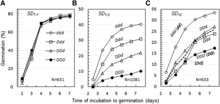 Cumulative germination distributions for four endosperm genotypes of seeds. Seeds were sampled from populations segregating for the seed dormancy locus SD7-1 (A), SD1-2 (B), or SD12 (C). N was the number of seeds used for the germination experiment. Both germinated and nongerminated seeds were determined for endosperm genotypes, which are indicated by combinations of dormancy-enhancing (D) and/or -reducing (d) alleles. Embryo genotypes for SD12 are listed in the parentheses (C).
