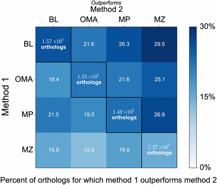 Comparison of sequence identity levels between methods. Heat map of the percent of orthologs for which MultiParanoid (MP), OMA (OMA), BLAT (BL), and MultiZ (MZ) outperform one another. Performance is based on percent identity of each method’s orthologs to the human sequence. One method is considered to outperform another method if it improves percent identity by at least five percentage points. Text in diagonal cells shows the number of orthologs identified by each method, colored by the percent of orthologs for which a given method outperforms all the others.