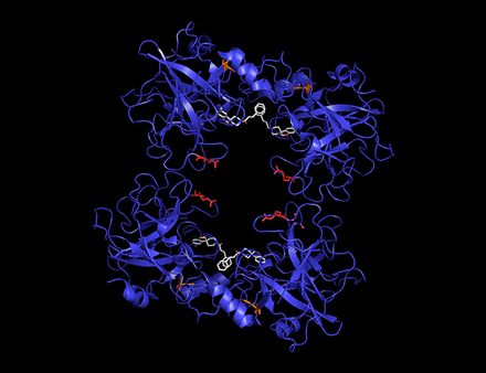 Example: a MOSAIC-specific PSS in Tryptase Alpha/Beta 1 (TPSAB1). The tetrameric TPSAB1 structure is shown with positively selected sites highlighted. The site detected by component methods and by MOSAIC is colored orange, whereas the MOSAIC-specific PSS is featured in red. A bound inhibitor (white) pinpoints the active site of the enzyme.